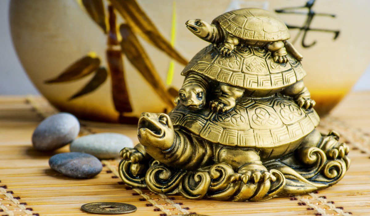 What Is a Feng Shui Turtle and Why Is It Important