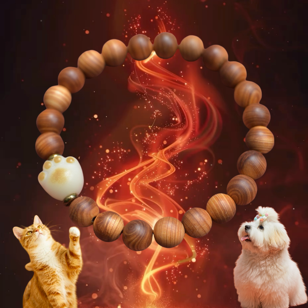 Claws karmic Cliff Cypress Bracciale Antico Sul, contratti per i tutori per animali domestici