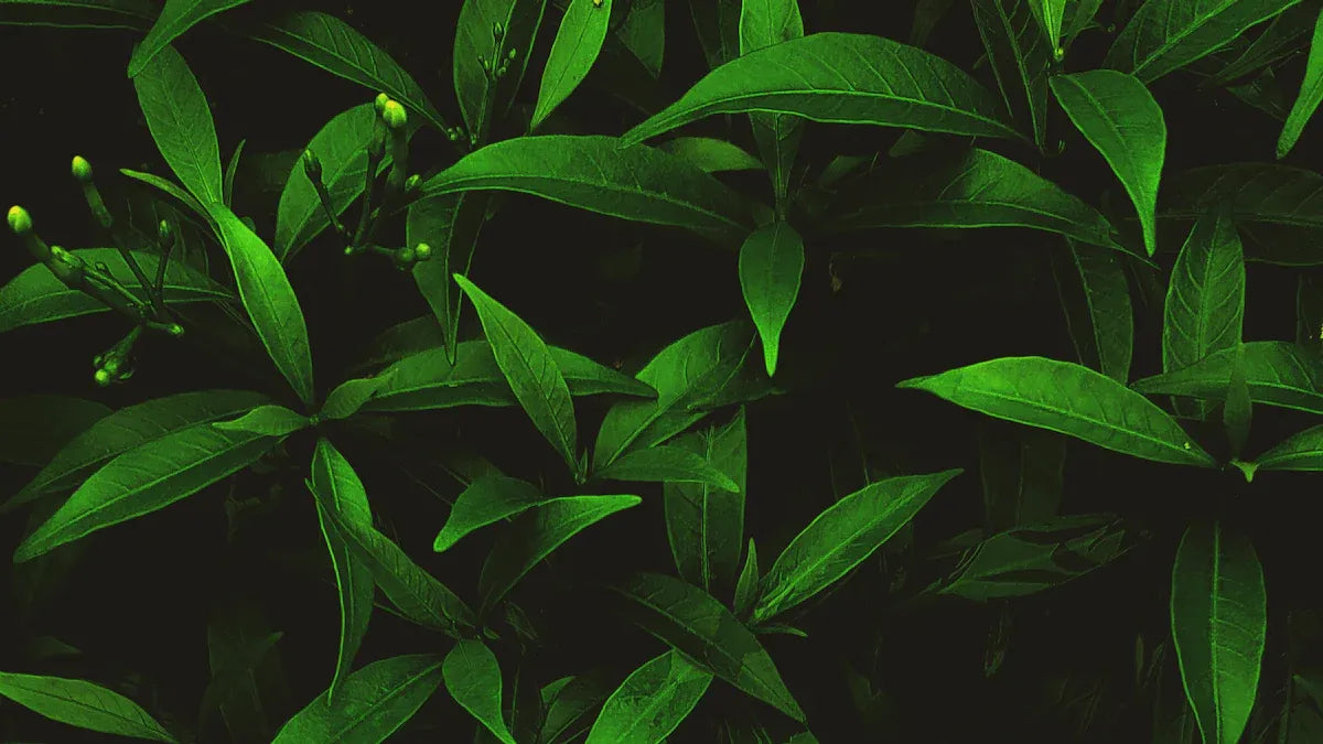 Discover the Power of Five Elements Wallpapers to Rebalance Your Mind and Space