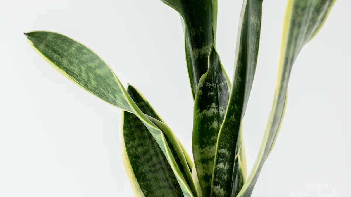 Are Artificial Plants Really Bad for Feng Shui in 2025 – Karmabless