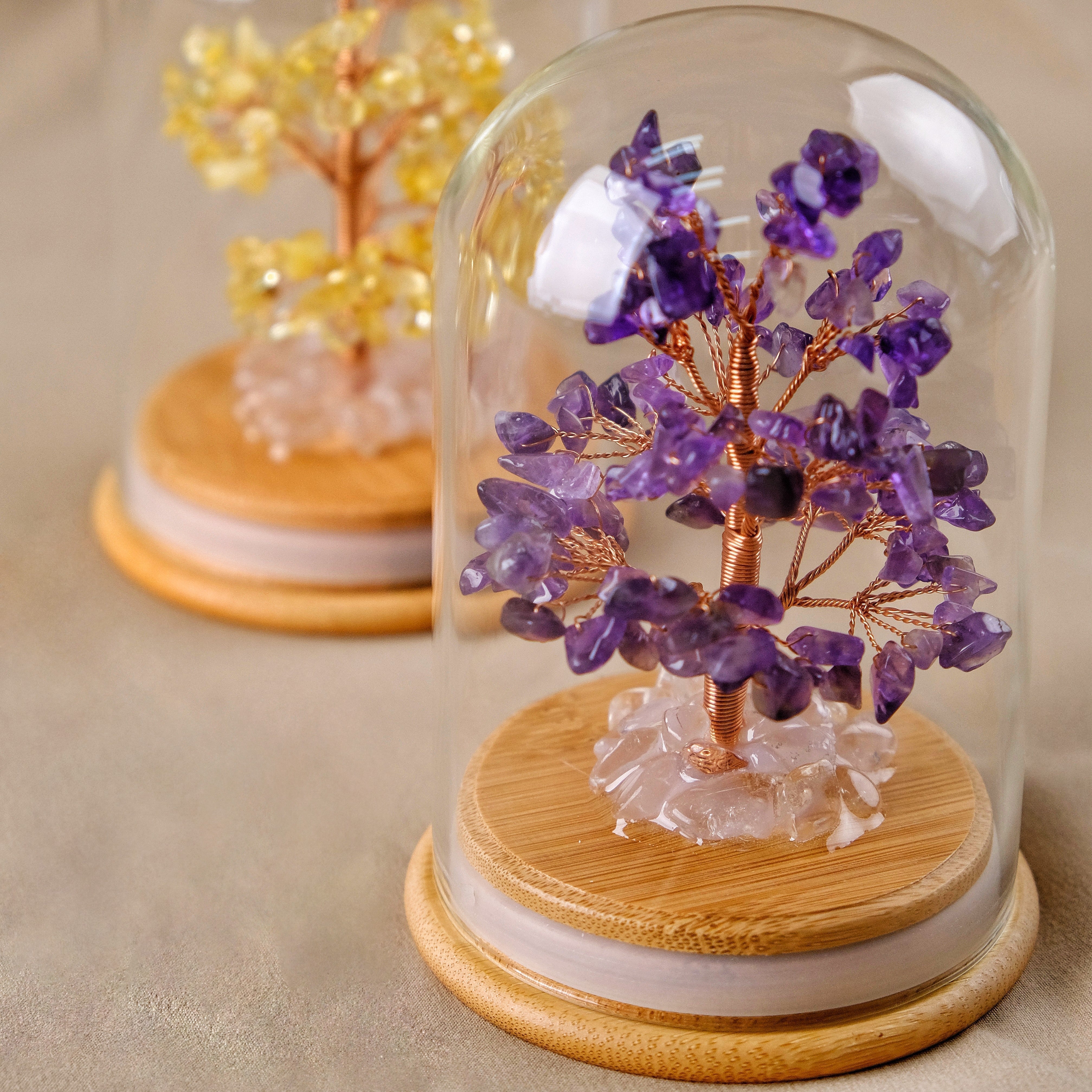 Where to Place a Feng Shui Crystal Tree for Luck and Abundance