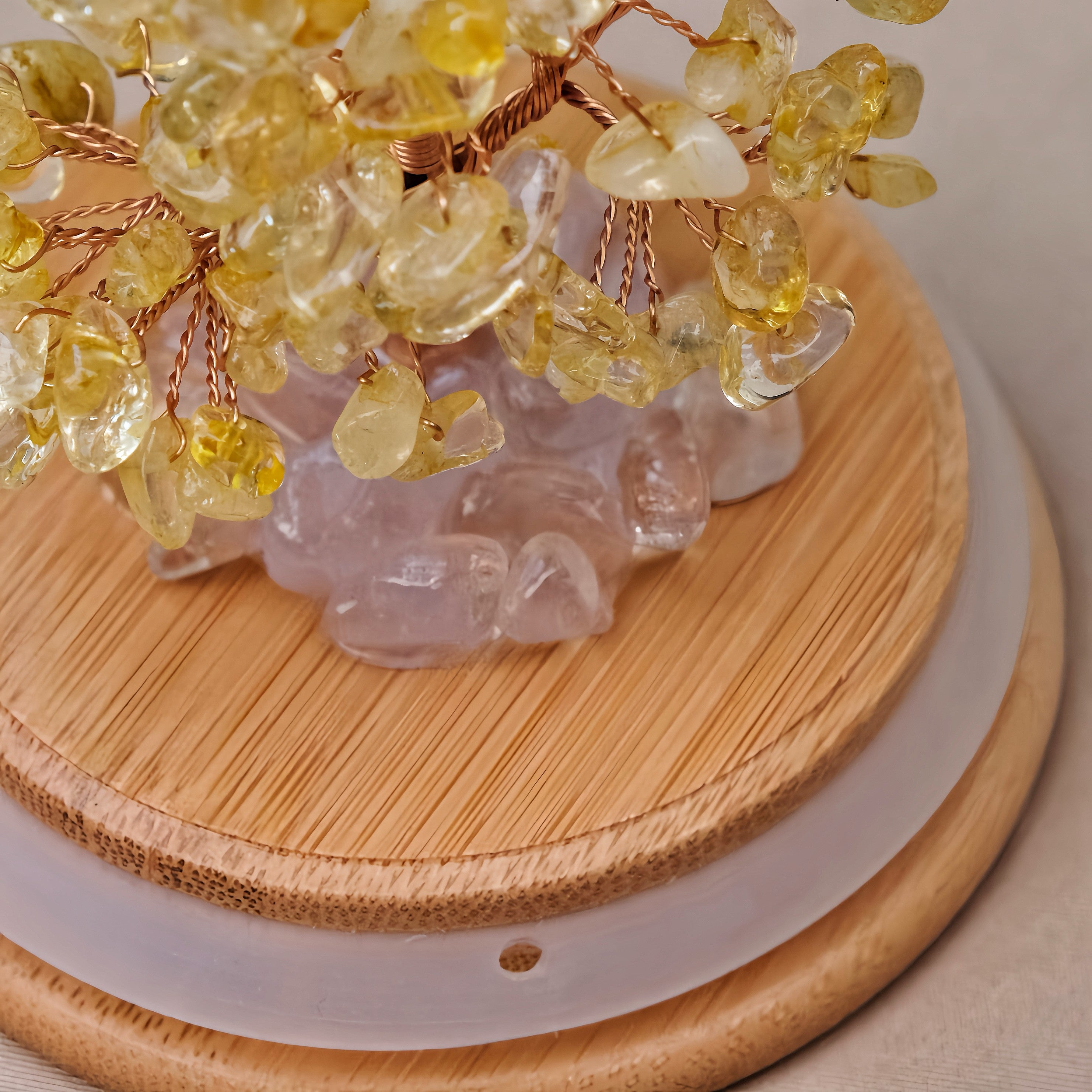 Citrine Tree – Grand Glass Dome Edition