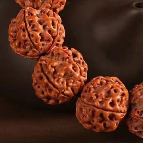 Ox Horn Rudraksha Bracelet