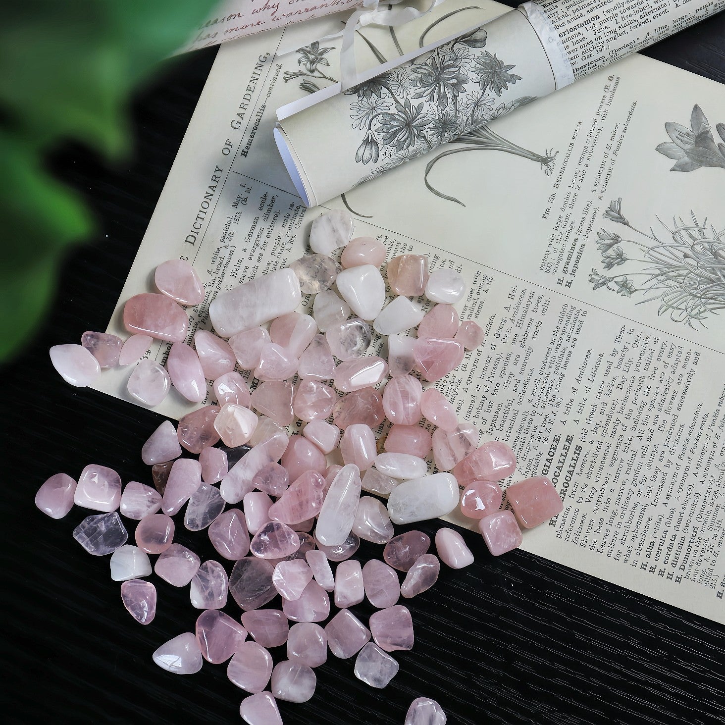 Rose Quartz Chips