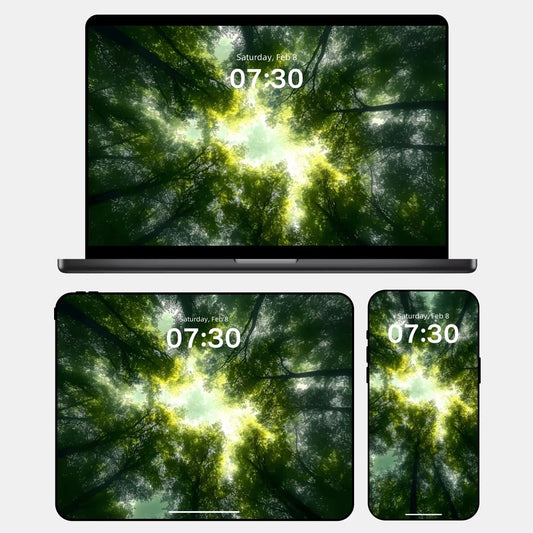 Sunlit Forest Shadows [Wood & Fire Elements] HD Wallpaper