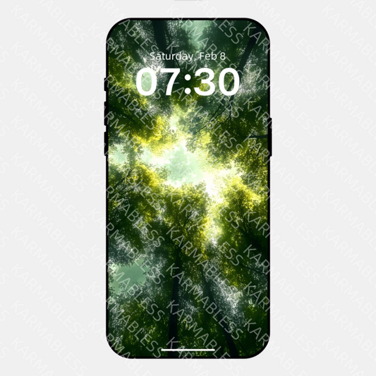 Sunlit Forest Shadows [Wood & Fire Elements] HD Wallpaper